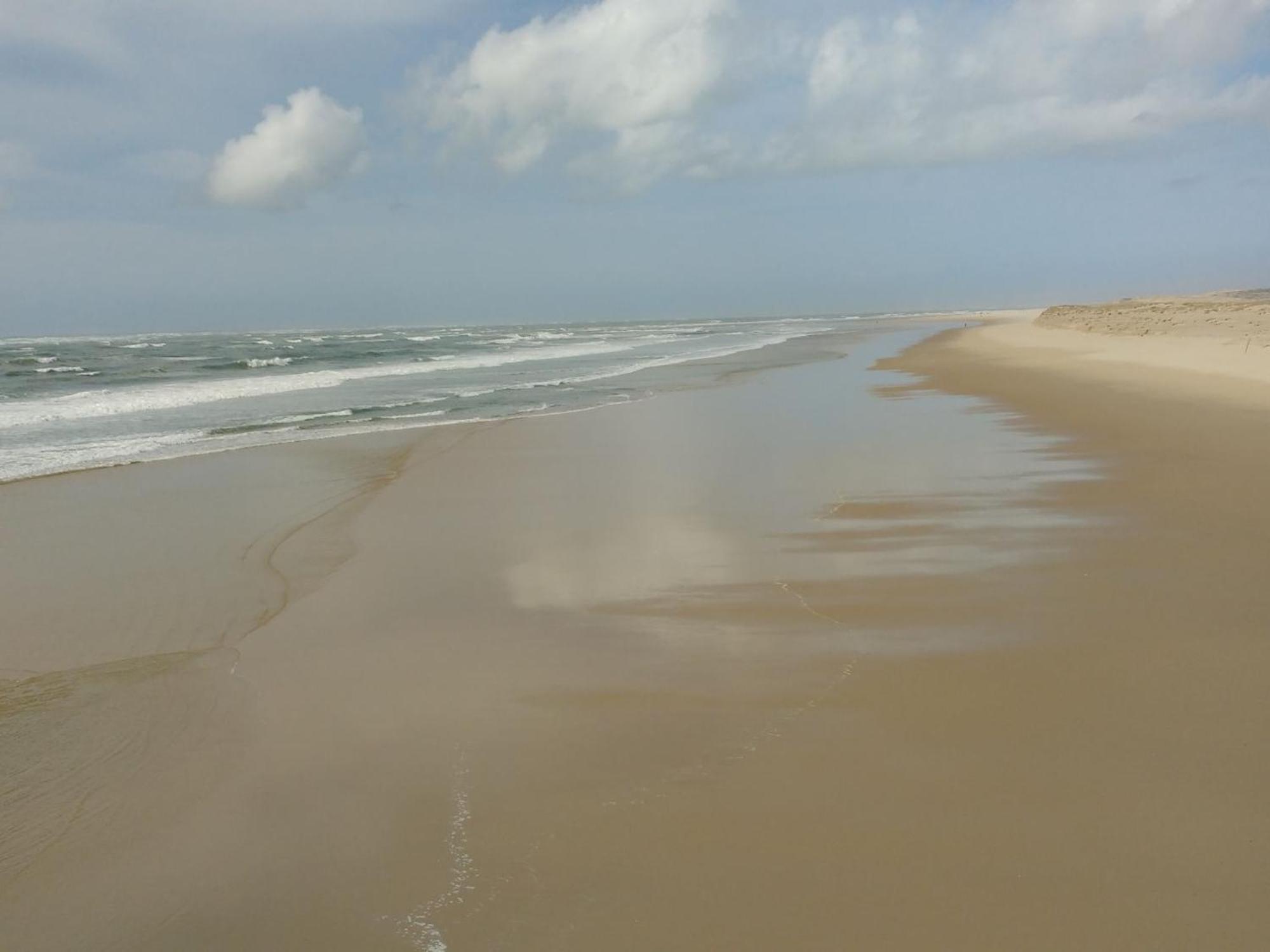 Pour 6 En Centre-ville D'arcachon Avec Terrasse, Parking Et Wifi - Fr-1-474-174 Apartment Arcachon